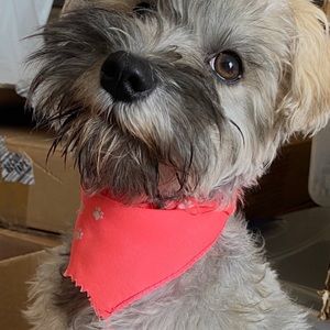 Meet your Posher, Kri